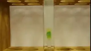 !!!Chlorophyll Chromatography!!!
