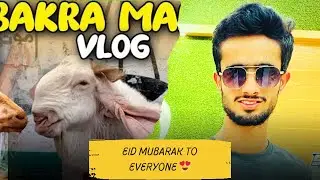 Eid Mubarak To Everyone 😍