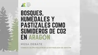 Bosques, pastos y humedales, grandes aliados para la reducción de emisiones de CO2 en Aragón