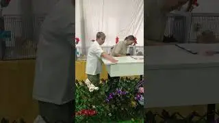 11 марта 2024 г.