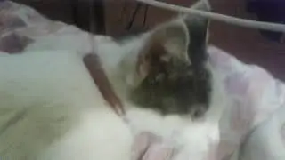 Ми розиграли Машку 😂😂😂