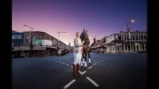 Horses and Cars