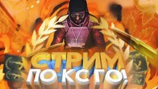 🔴 CS:GO. /ПУТЬ ДО ГЛОБАЛА /ИГРЫ С ПОДПИСЧИКАМИ/ПОДАРКИ НА СТРИМЕ .