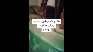 فيديو بدون عنوان (مسخوط الوالدين )...