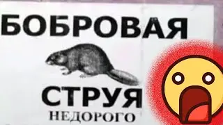 💥Это ВСПЛЫЛО! Упоротые надписи ШОКИРОВАЛИ всех / Полное БЕЗУМИЕ на улицах