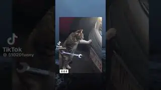 Memes that I have found on discord part 21 #shorts