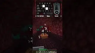 DIESES WITHER SKELETT HAT EINEN CLOWN GEFRÜHSTÜCKT#challenge #minecraft #twtich