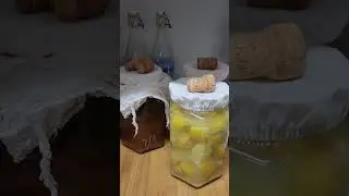 Simple trick to avoid fruit flies!