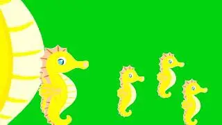 Latest Seahorse Green Screen Transition Effect 