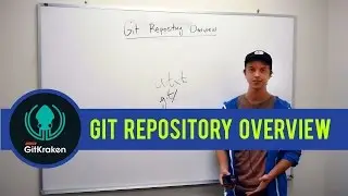 Git Tutorial: What is a Git Repository?