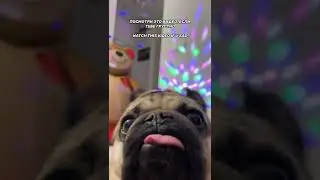 ПОСМОТРИ ЭТО ВИДЕО ЕСЛИ ТЕБЕ ГРУСТНО🥲