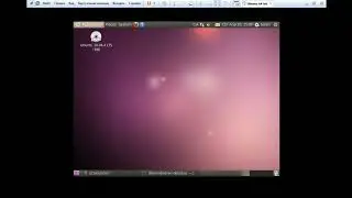 Уничтожение Ubuntu 10 04 (Перезалив)