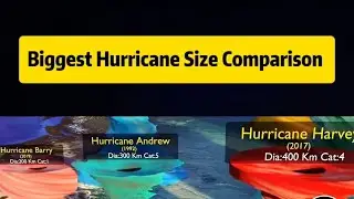 Biggest Hurricane Size Comparison 🥶💀🤯 #hurricane #largest #comparison #size #storm #explore #milton