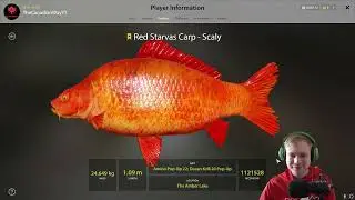 Russian Fishing 4 Amber Lake Active Spot & New Baits