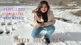 Our First Snowfall Experience| Nathula Pass| Changu Lake| Baba-Mandir | Sikkim Day 2