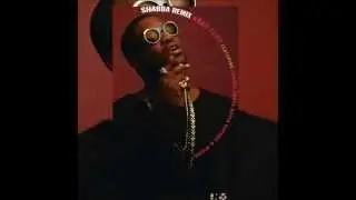 A$AP Ferg - Shabba Remix ft. Shabba Ranks, Busta Rhymes & Migos  ***New November 2013*** (HD)