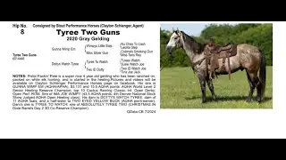 Pitzer Ranch Fall Sale 2024 TYREE TWO GUNS