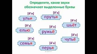 Разделительный мягкий знак