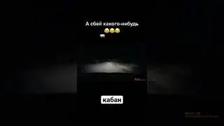 кабан