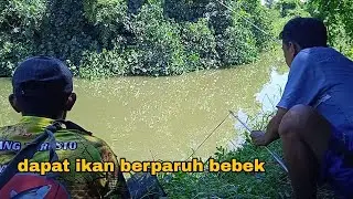 mancing di pal 5 tanjungsari sidoarjo
