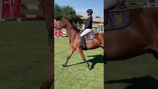 Concurso hípico nacional de saltos. Septiembre de 2024