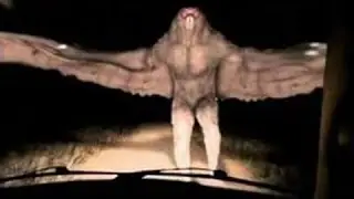 10 Creature Più Misteriose Riprese in Telecamera