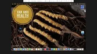 Bộ thiết kế logo chuyên nghiệp cho Macbook Air M2 hỗ trợ qua Teamviewer cho khách