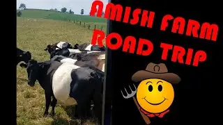 AMISH FARM ROAD TRIP - VLOG