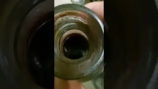 домашнее вино заливаем в дубовую бочку