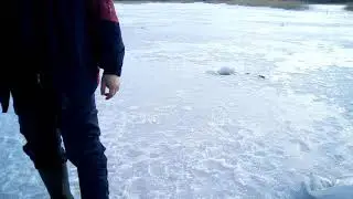 С корешем щук поймали.