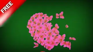 pink butterfly green screen effects | green screen butterfly flying | butterfly green screen video