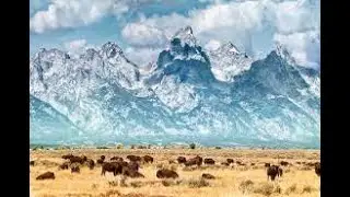 Crash course: Comprehensive Guide to Wyoming State, USA @anhubmetaverse2457