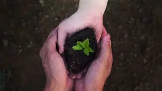 Eğitim İçin Birikim | Doğa
