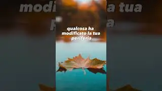 𝐋𝐀 𝐅𝐎𝐑𝐙𝐀 𝐃𝐈 𝐍𝐎𝐍 𝐒𝐀𝐏𝐄𝐑𝐄 𝐄 𝐈𝐋 𝐏𝐎𝐓𝐄𝐑𝐄 𝐃𝐄𝐋𝐋𝐀 𝐑𝐄𝐒𝐀 ✋🏻