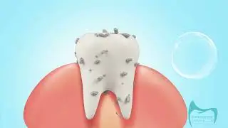 اسنانك ترمم نفسها Your teeth repair themselves
