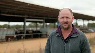 The benefits of shade at West Wimmera Beef