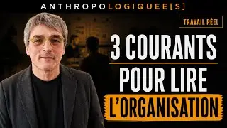 3 courants théoriques d'analyse des organisations