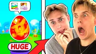 Battle Om HUGE Mod Emil i Pet Simulator!! - Dansk Roblox