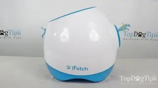Ifetch Too Interactive Ball Launcher for Dogs Review (2018)