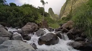 Magical Maui VR