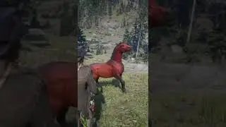 The Red Chestnut Arabian Horse, in Red Dead Redemption 2