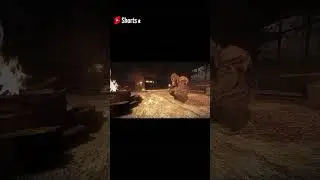 Бабу бы...#stalkershorts#stalker#short#shorts#anomaly#expedition#бандиты