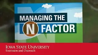 Managing the N Factor