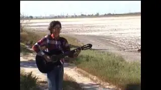 Музыка у моря