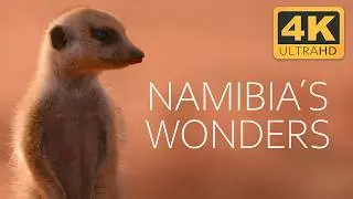 From Dry Savannahs to Wide River Landscapes | 4K UHD Documentary