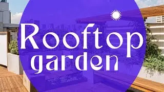 Rooftop Garden #garden #rooftopgarden