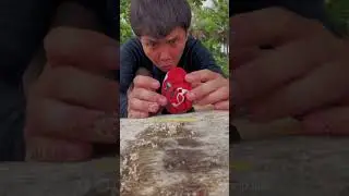 What would you do if you found it on the beach? ❓🤔🤷‍♂️🏝️🏖️