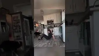 Верный пёс спас хозяйку, почувствовав приступ заранее!