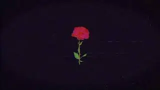 Tim Walker - Roses (Music Video)