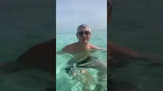 6 июня 2024 г.
